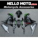 Kawasaki Ninja 300 2013-2018 Fairing P/N 4W12