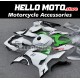 Kawasaki Ninja 400 2018-2024 Fairing P/N 4X11