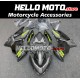 Kawasaki Ninja 400 2018-2024 Fairing P/N 4X12