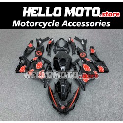 Kawasaki Ninja 400 2018-2024 Fairing P/N 4X36