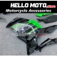 Kawasaki Ninja 400 2018-2024 Fairing P/N 4X49 Kawasaki Ninja 400 2018-2024 Fairing P/N 4X49