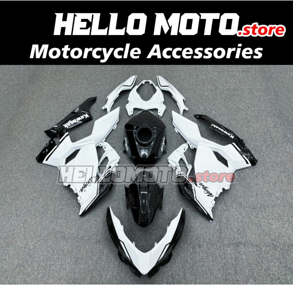Kawasaki Ninja 400 2018-2024 Fairing P/N 4X69