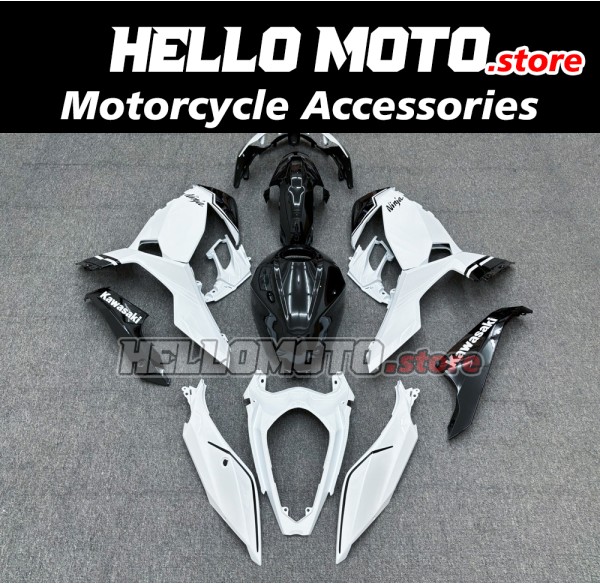 Kawasaki Ninja 400 2018-2024 Fairing P/N 4X69