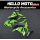 Kawasaki Ninja 500 2024-2026 Fairing P/N 4AW6