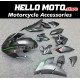 Kawasaki H2 2015-2025 Fairing P/N 4AU1