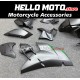 Kawasaki H2 2015-2025 Fairing P/N 4AU1