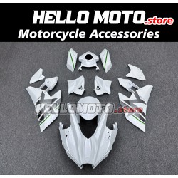 Kawasaki H2 2015-2025 Fairing P/N 4AU4