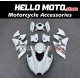 Kawasaki H2 2015-2025 Fairing P/N 4AU4