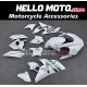 Kawasaki H2 2015-2025 Fairing P/N 4AU4