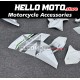 Kawasaki H2 2015-2025 Fairing P/N 4AU4