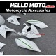 Kawasaki H2 2015-2025 Fairing P/N 4AU4