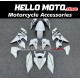 Kawasaki H2 2015-2025 Fairing P/N 4AU4
