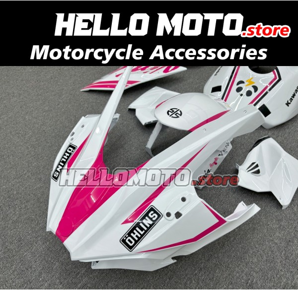 Kawasaki H2 2015-2025 Fairing P/N 4AU3