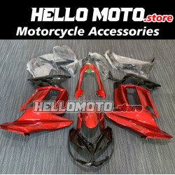 Kawasaki Z1000SX 2011-2016 Fairing P/N 4AH1
