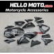 Kawasaki Z800 2013-2016 Fairing P/N 4AK1