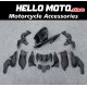 Kawasaki Z900 2020-2024 Fairing P/N 4BG8