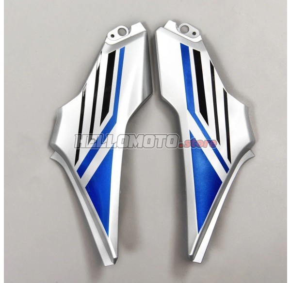 Kawasaki Z900 2020-2024 Fairing P/N 4BG4
