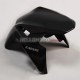 Kawasaki Z900 2020-2024 Fairing P/N 4BG8