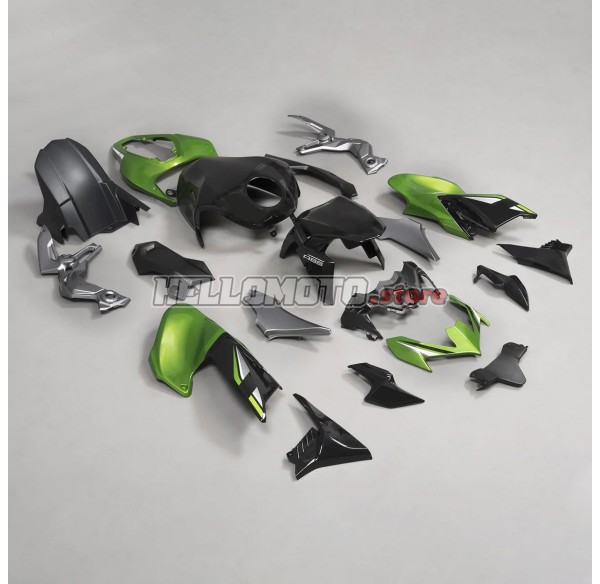 Kawasaki Z900 2020-2024 Fairing P/N 4BG9