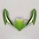 Kawasaki Z900 2020-2024 Fairing P/N 4BG9