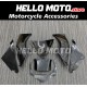 Kawasaki ZX-12R 2000-2001 Fairing P/N 4AY2
