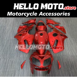 Kawasaki ZX-12R 2002-2006 Fairing P/N 4P1