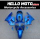 Kawasaki ZX-12R 2002-2006 Fairing P/N 4P6