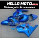 Kawasaki ZX-12R 2002-2006 Fairing P/N 4P6