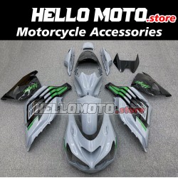 Kawasaki ZX-14R 2012-2024 Fairing P/N 4R9