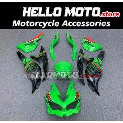Kawasaki ZX-4RR 2023-2025 Fairing P/N 4BK4