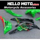 Kawasaki ZX-4RR 2023-2025 Fairing P/N 4BK4 Kawasaki ZX-4RR 2023-2025 Fairing P/N 4BK4