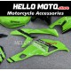 Kawasaki ZX-25R 2020-2025 Fairing P/N 4AV7 Kawasaki ZX-25R 2020-2025 Fairing P/N 4AV7