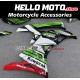 Kawasaki ZX-25R 2020-2025 Fairing P/N 4AV8 Kawasaki ZX-25R 2020-2025 Fairing P/N 4AV8