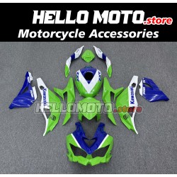 Kawasaki ZX-4RR 2023-2025 Fairing P/N 4BK6
