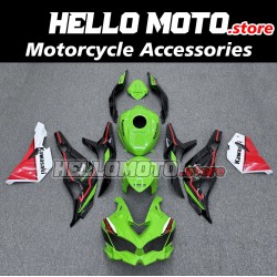 Kawasaki ZX-4RR 2023-2025 Fairing P/N 4BK11