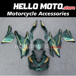 Kawasaki ZX-4RR 2023-2025 Fairing P/N 4BK12