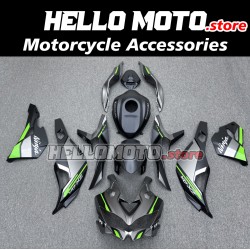 Kawasaki ZX-4RR 2023-2025 Fairing P/N 4BK14