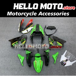 Kawasaki ZX-9R 2002-2003 Fairing P/N 4U1
