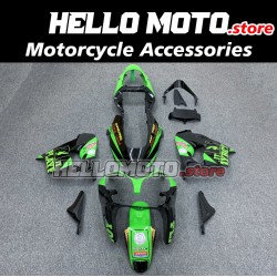 Kawasaki ZX-9R 2002-2003 Fairing P/N 4U2