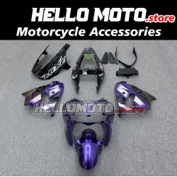 Kawasaki ZX-9R 2002-2003 Fairing P/N 4U1