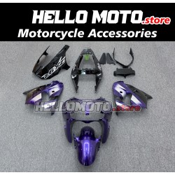 Kawasaki ZX-9R 2002-2003 Fairing P/N 4U1