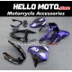 Kawasaki ZX-9R 2002-2003 Fairing P/N 4U1