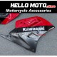Kawasaki ZXR250 1989-1990 Fairing P/N 4BC2