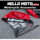 Kawasaki ZXR250 1989-1990 Fairing P/N 4BC2