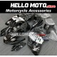 Suzuki Hayabusa GSX1300R 2008-2020 Fairing P/N 2P11 Suzuki Hayabusa GSX1300R 2008-2020 Fairing P/N 2P11