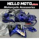 Suzuki Hayabusa GSX1300R 2008-2020 Fairing P/N R2P17 Suzuki Hayabusa GSX1300R 2008-2020 Fairing P/N R2P17