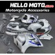 Suzuki Hayabusa GSX1300R 2008-2020 Fairing P/N 2P23 Suzuki Hayabusa GSX1300R 2008-2020 Fairing P/N 2P23