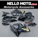 Suzuki Hayabusa GSX1300R 2008-2020 Fairing P/N 2P42