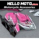 Suzuki Hayabusa GSX1300R 2008-2020 Fairing P/N 2P18