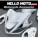 Suzuki Hayabusa GSX1300R 2008-2020 Fairing P/N 2P34 Suzuki Hayabusa GSX1300R 2008-2020 Fairing P/N 2P34
